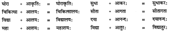 CBSE Class 11 Sanskrit सन्धिः 4