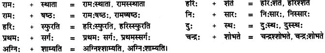 CBSE Class 11 Sanskrit सन्धिः 46