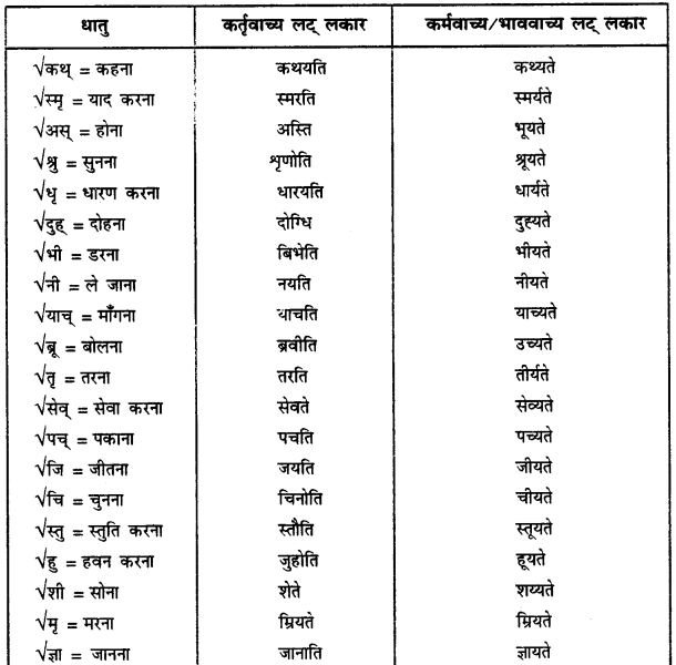 CBSE Class 11 Sanskrit सामान्य-वाच्य परिवर्तनम् 3