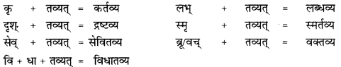 CBSE Class 12 Sanskrit व्याकरणम् प्रकृति-प्रत्यय-विभाग 6