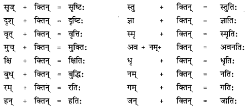 CBSE Class 12 Sanskrit व्याकरणम् प्रकृति-प्रत्यय-विभाग 8