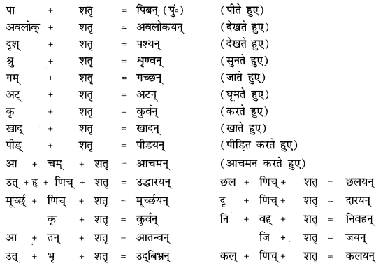 CBSE Class 12 Sanskrit व्याकरणम् प्रकृति-प्रत्यय-विभाग 9