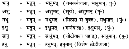 CBSE Class 12 Sanskrit व्याकरणम् प्रकृति-प्रत्यय-विभाग 14
