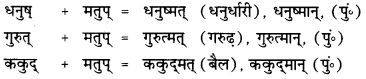 CBSE Class 12 Sanskrit व्याकरणम् प्रकृति-प्रत्यय-विभाग 15