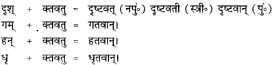 CBSE Class 12 Sanskrit व्याकरणम् प्रकृति-प्रत्यय-विभाग 2