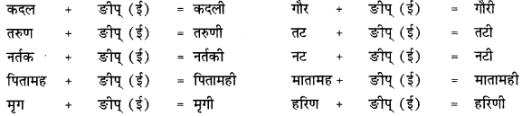 CBSE Class 12 Sanskrit व्याकरणम् प्रकृति-प्रत्यय-विभाग 48