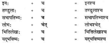 CBSE Class 12 Sanskrit व्याकरणम् सन्धि-प्रकर11