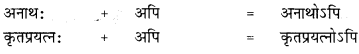 CBSE Class 12 Sanskrit व्याकरणम् सन्धि-प्रकर13