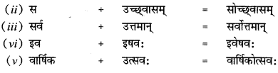CBSE Class 12 Sanskrit व्याकरणम् सन्धि-प्रकर4