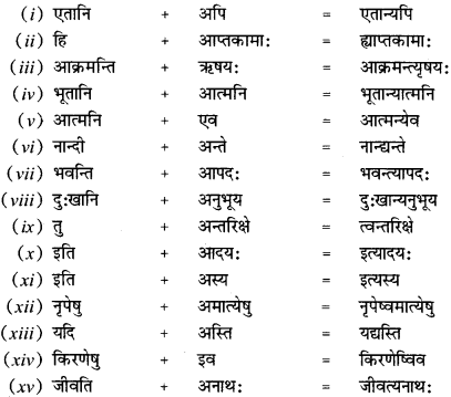 CBSE Class 12 Sanskrit व्याकरणम् सन्धि-प्रकर6