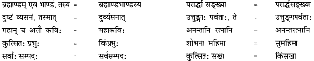 CBSE Class 12 Sanskrit व्याकरणम् समास-प्रकरण 4