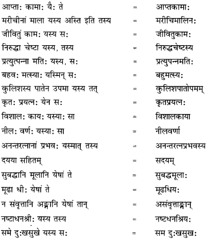 CBSE Class 12 Sanskrit व्याकरणम् समास-प्रकरण 5