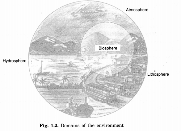 Environment Class 7 Extra Questions Geography Chapter 1-2