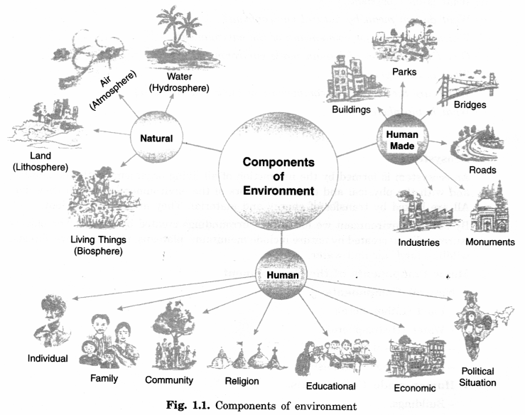 Environment Class 7 Extra Questions Geography Chapter 1 - 3