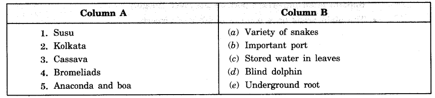 Human Environment Interactions The Tropical and the Subtropical Region Class 7 Extra Questions Geography Chapter 8 - 1