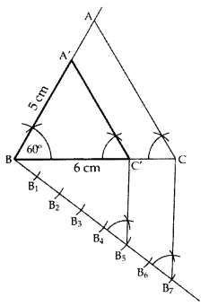 Important Questions for Class 10 Maths Chapter 11 Constructions 3