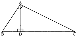 Important Questions for Class 10 Maths Chapter 6 Triangles 19