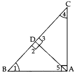 Important Questions for Class 10 Maths Chapter 6 Triangles 20