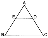 Class 10 maths CH 6 Triangles DPP