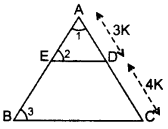 Important Questions for Class 10 Maths Chapter 6 Triangles 45
