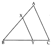 Important Questions for Class 10 Maths Chapter 6 Triangles 49