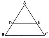 Important Questions for Class 10 Maths Chapter 6 Triangles 8