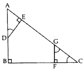 Important Questions for Class 10 Maths Chapter 6 Triangles 87