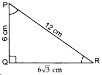 Important Questions for Class 10 Maths Chapter 8 Introduction to Trigonometry 19