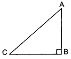 Important Questions for Class 10 Maths Chapter 8 Introduction to Trigonometry 5