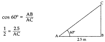 Important Questions for Class 10 Maths Chapter 9 Some Applications of Trigonometry 6