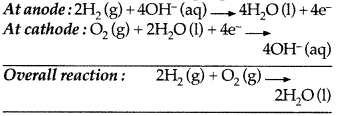 Important Questions for Class 12 Chemistry Chapter 3 Electrochemistry Class 12 Important Questions 15
