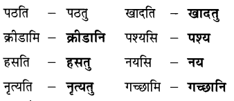 NCERT Class 6 Sanskrit Deepakam Chapter 10 Question Answer त्वम् आपणं गच्छ 1.3