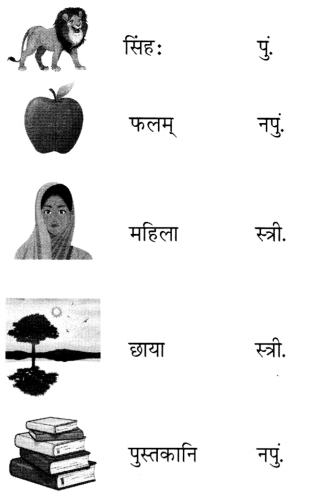 NCERT Class 6 Sanskrit Deepakam Chapter 11 Question Answer पृथिव्यां त्रीणि रत्नानि 1.4