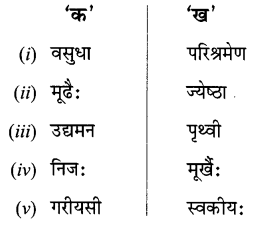 NCERT Class 6 Sanskrit Deepakam Chapter 11 Question Answer पृथिव्यां त्रीणि रत्नानि 2.2