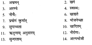 NCERT Solutions for Class 11 Sanskrit Chapter 2 सर्वे सन्तु निरामयाः Q8.1