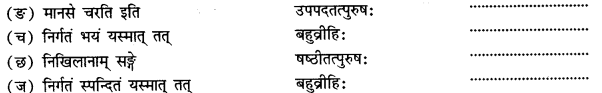 NCERT Solutions for Class 11 Sanskrit Chapter 5 मानसं मम विकसितं कुरु I Q3.1