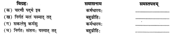 NCERT Solutions for Class 11 Sanskrit Chapter 5 मानसं मम विकसितं कुरु I Q3