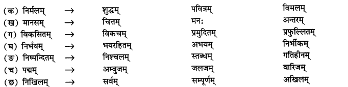 NCERT Solutions for Class 11 Sanskrit Chapter 5 मानसं मम विकसितं कुरु I Q4.2