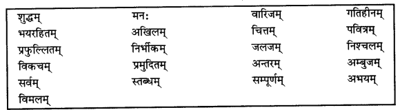 NCERT Solutions for Class 11 Sanskrit Chapter 5 मानसं मम विकसितं कुरु I Q4