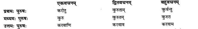 NCERT Solutions for Class 11 Sanskrit Chapter 5 मानसं मम विकसितं कुरु I Q9