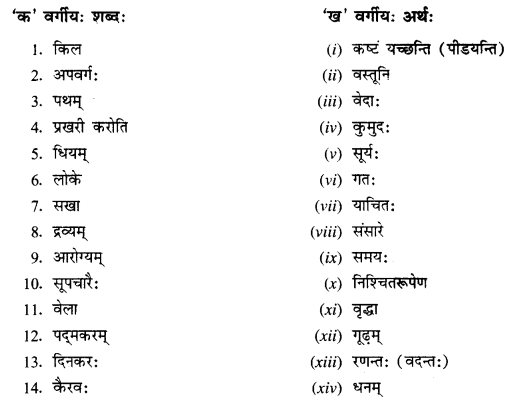 NCERT Solutions for Class 11 Sanskrit Chapter 7 महाजनो येन गतः स पन्थाः III Q3
