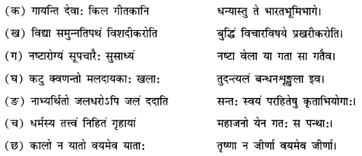 NCERT Solutions for Class 11 Sanskrit Chapter 7 महाजनो येन गतः स पन्थाः Q2.2