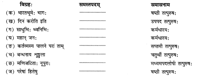 NCERT Solutions for Class 11 Sanskrit Chapter 7 महाजनो येन गतः स पन्थाः Q4