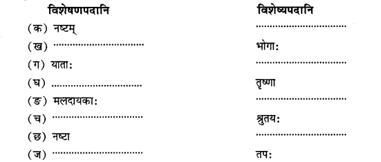 NCERT Solutions for Class 11 Sanskrit Chapter 7 महाजनो येन गतः स पन्थाः Q6