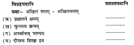 NCERT Solutions for Class 11 Sanskrit Chapter 8 गुरूपदेशः अजलं स्नानम् Q4
