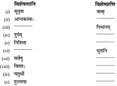 NCERT Solutions for Class 12 Sanskrit Chapter 1 उत्तिष्ठत जाग्रत 13