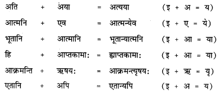 NCERT Solutions for Class 12 Sanskrit Chapter 1 उत्तिष्ठत जाग्रत 17