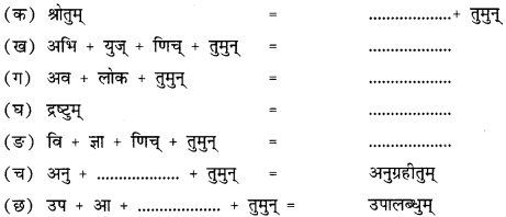 NCERT Solutions for Class 12 Sanskrit Chapter 3 राष्ट्रचिन्ता गरीयसी 5
