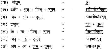 NCERT Solutions for Class 12 Sanskrit Chapter 3 राष्ट्रचिन्ता गरीयसी 6