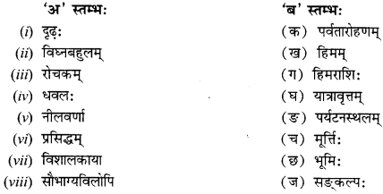 NCERT Solutions for Class 12 Sanskrit Chapter 5 अहो! राजते कीदृशीयं हिमानी Q6
